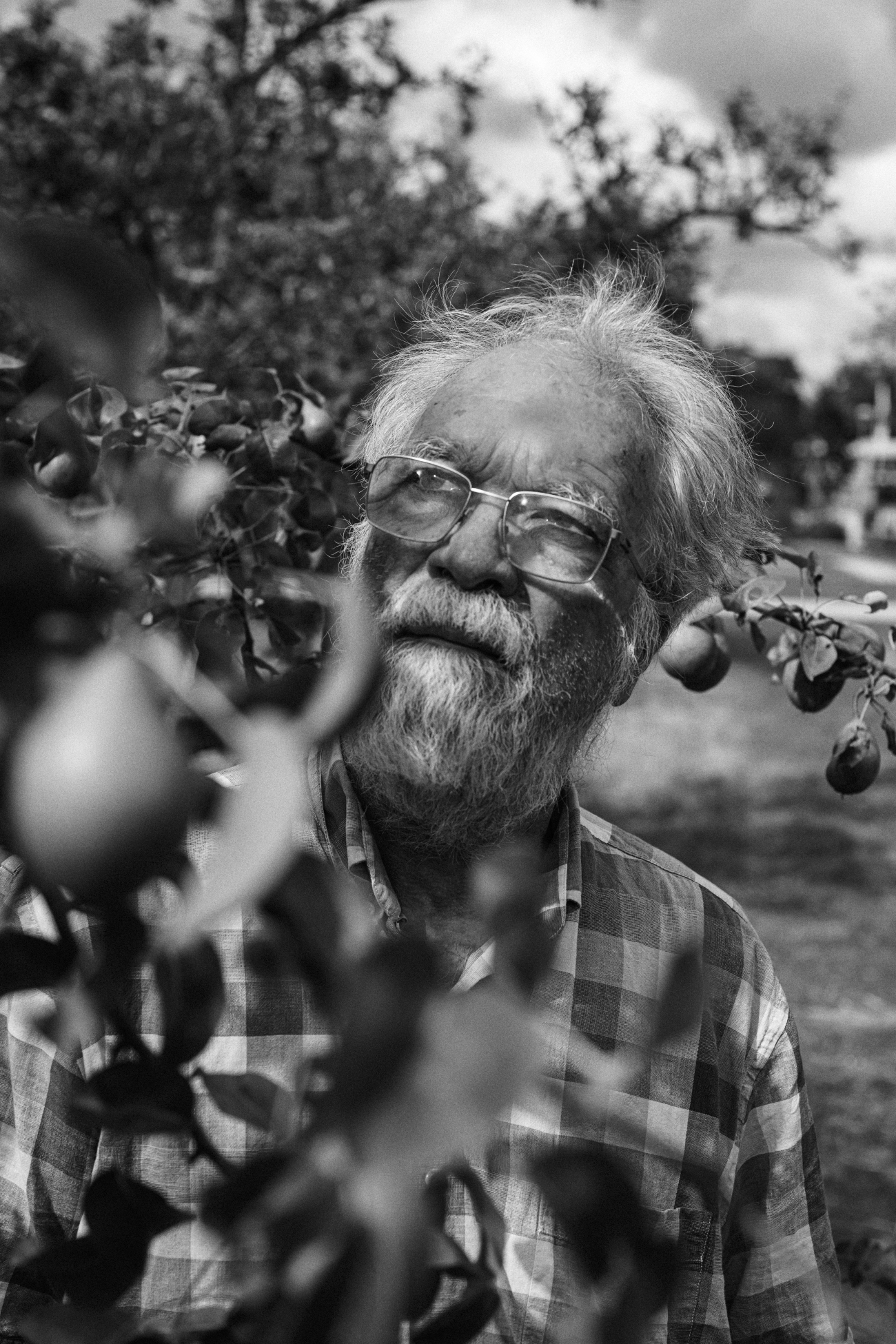Arie in de appelboomgaard