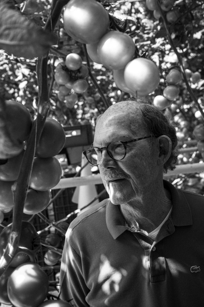 Nico tussen de tomaten