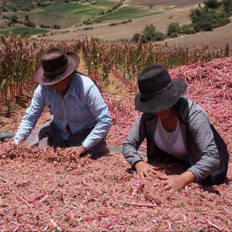 Quinoa boeren in Peru