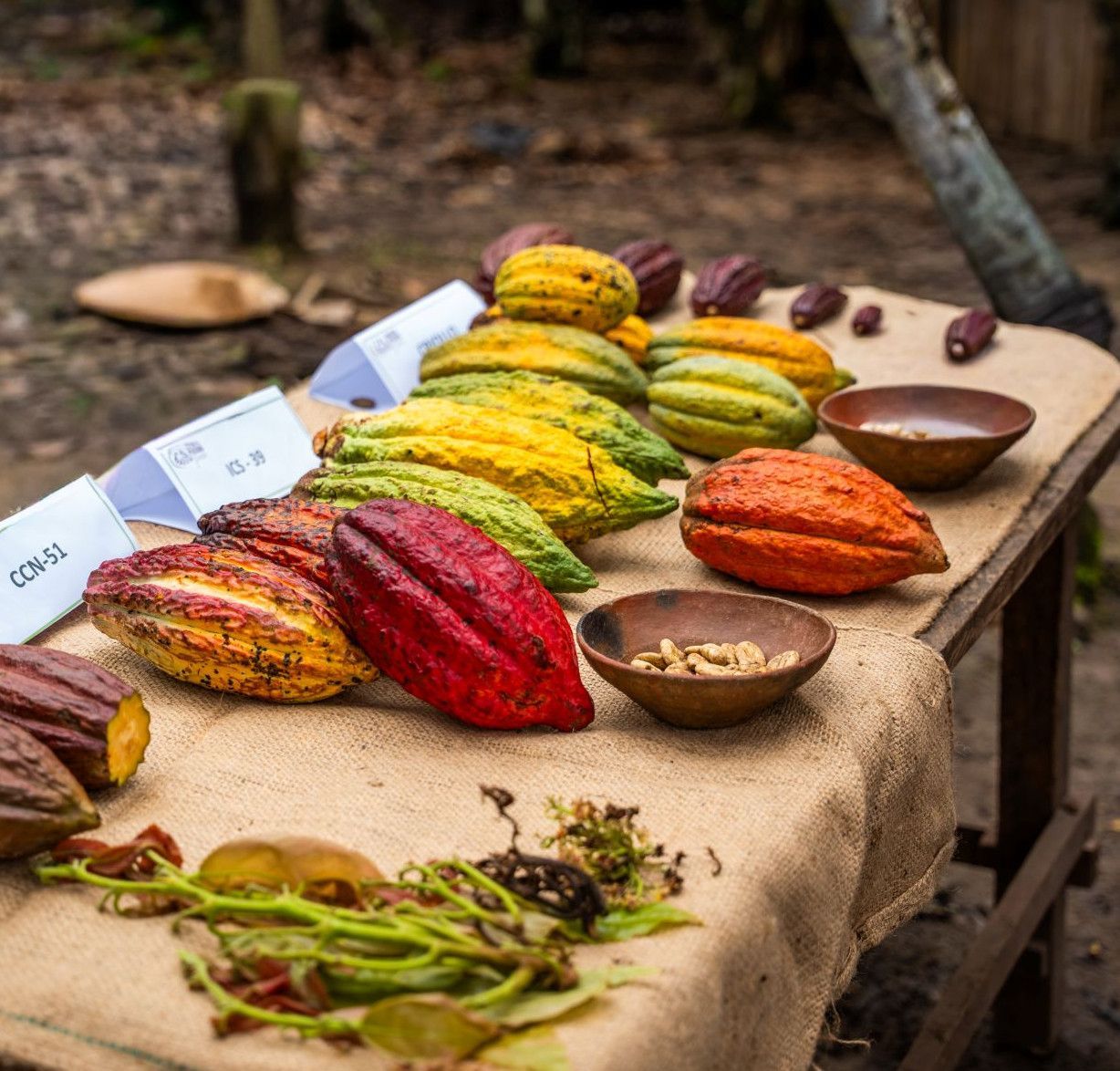 Cacaopeulen op een tafel