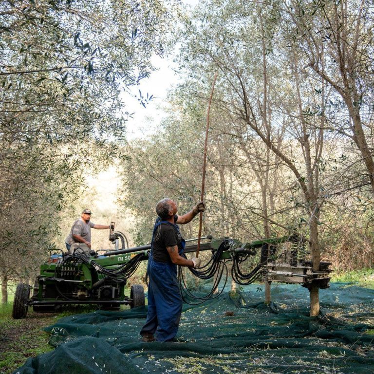Biologische boeren in het veld aan het werk