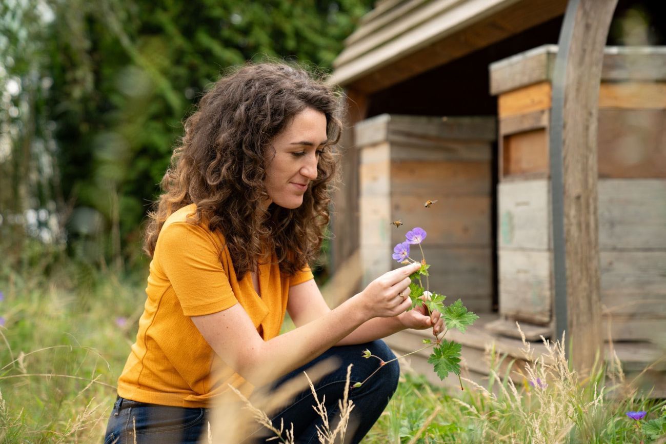 Ecologie ambassadeur Noah