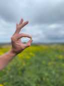 Een kleine biologische kikkererwt