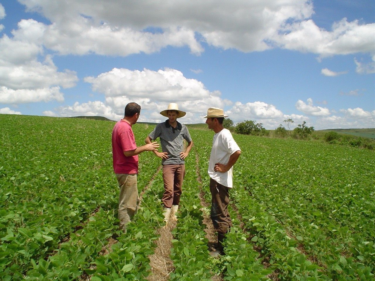 Boeren in het veld