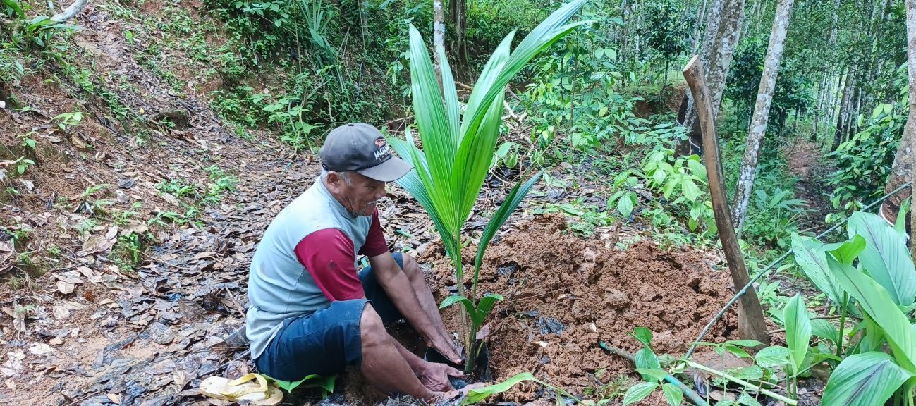 Man plant dwergboompjes