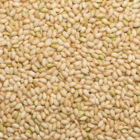 Rice brown short glutinous org. 22,68 kg 
