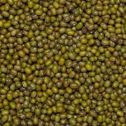 Mungbeans org. 25 kg FT IBD