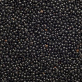 Lentils Beluga black org. 25 kg
