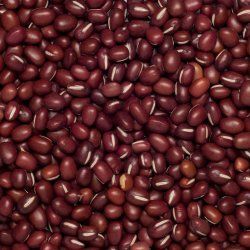 Beans aduki org. 25 kg FT IBD