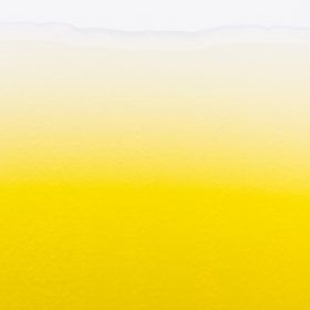 Olive oil extra vierge org. 5 ltr