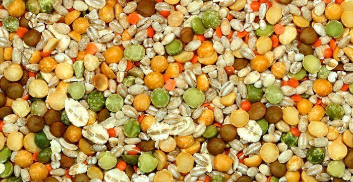 Biologische peulvruchten